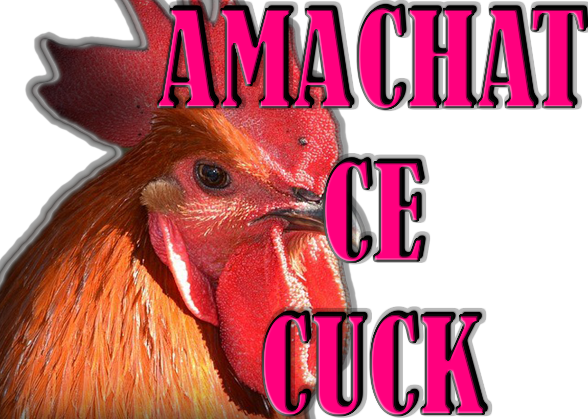 victime risitas cuck amachat