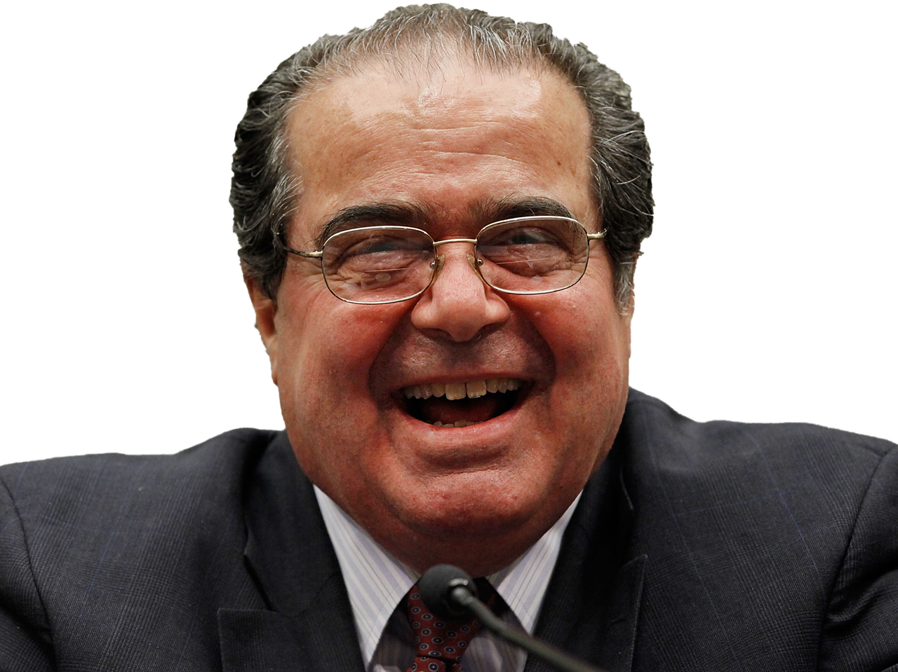 rire politic gros scalia