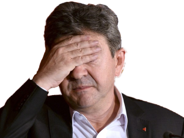 facepalm risitas insoumis melenchon picard fi