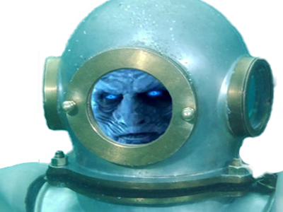 king plongee night got