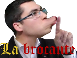 kirby kirby54 risitas brocante