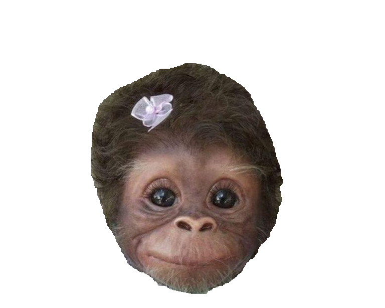 smile singe risitas black