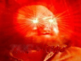 robert other boar got