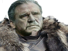 got jon snow old