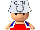 qlf-remplacement-other-qlfn