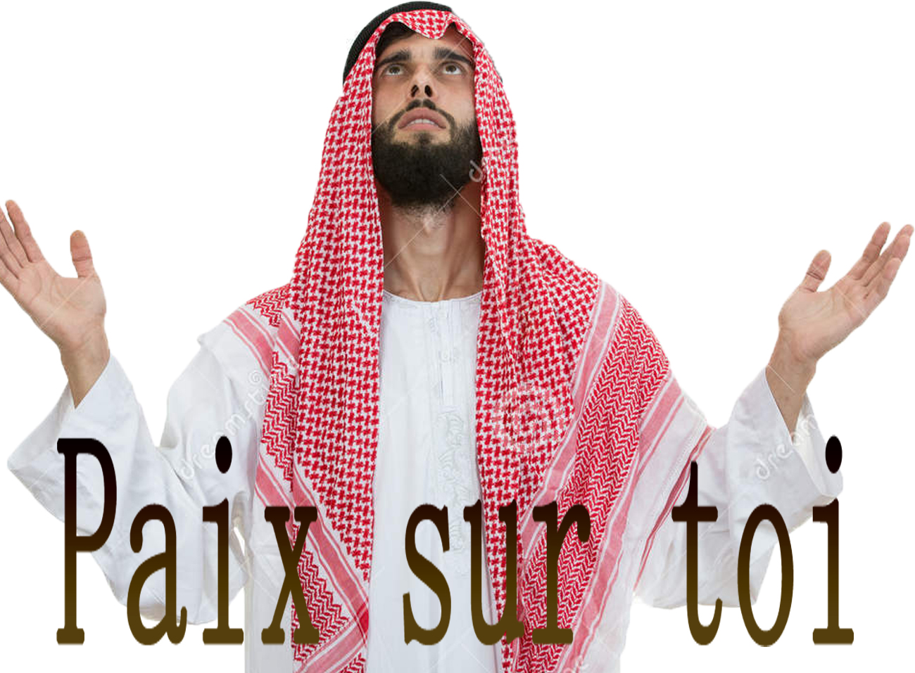 arabe qlf paix