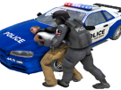 police-chase-pc-bac-bri-fbi-arrestation-busted-nissan-skyline-gilbert-2-sucres-gyrophares