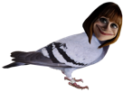 clairedearing-claire-dearing-pigeon-rourou-wootbox