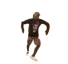 okay negro tacos burrito renoi noir sol