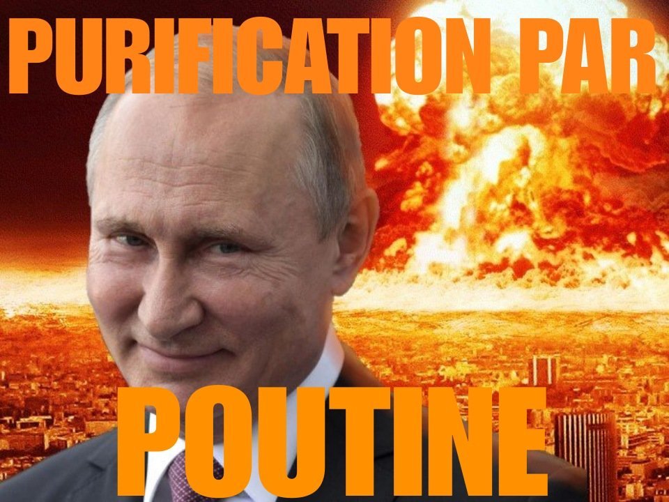 poutine atome purification