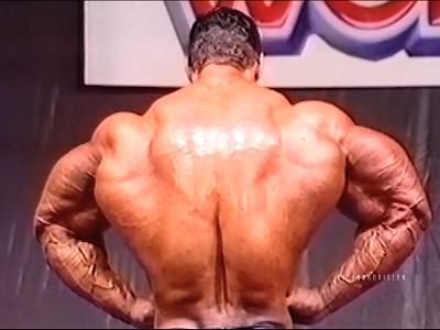 Sticker kevin levrone mr olympia go muscu ifbb bodybuilder arnold classic weider fonte musculation par LeChauveDamazon