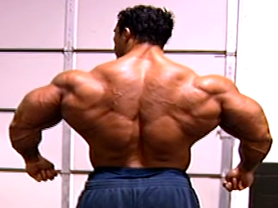 Sticker kevin levrone mr olympia go muscu ifbb bodybuilder arnold classic weider fonte musculation par LeChauveDamazon