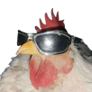 coq-poulet-style-lunette-kfc-star