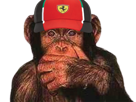 singe-chimpanze-main-visage-rire-casquette-ferrari-f1-formule-1-2023