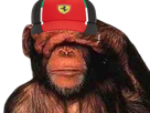 singe-chimpanze-main-visage-yeux-depite-triste-casquette-ferrari-f1-formule-1-2023