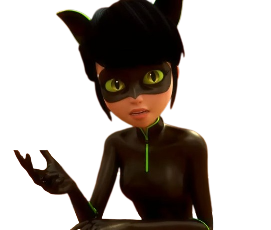 miraculous lady noir