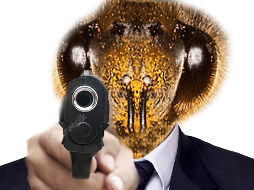 abeille pistolet costume