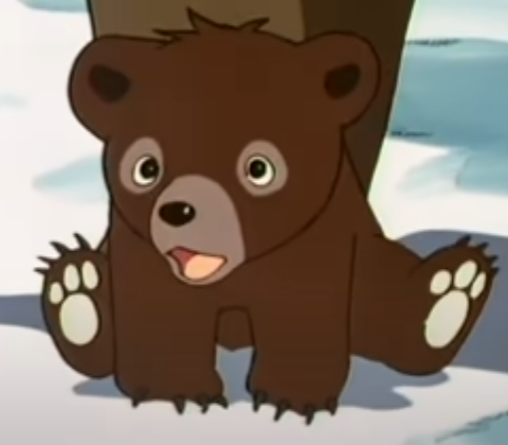 ours bouba booba choque ourson