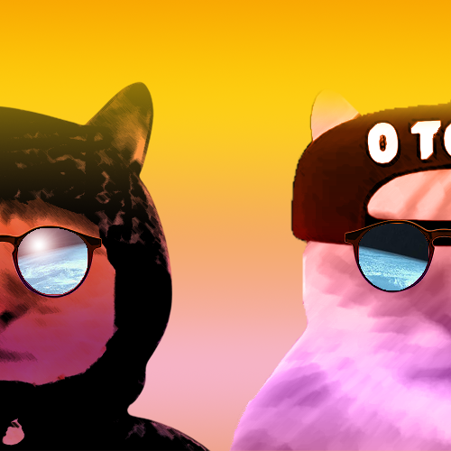 chat pnl qlf capuche album tiex