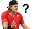 tennis-zizou-bergs-belge-belgique-question-sceptique-interrogation-what-quoi
