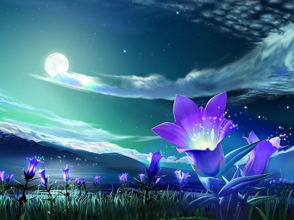 nature plaine fleurs violettes nuit night lune moon wallpaper fon ecran relax detente anti stress