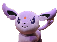 bootleg pokemon moche