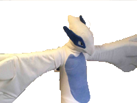 bootleg pokemon moche