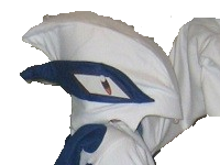 bootleg pokemon moche