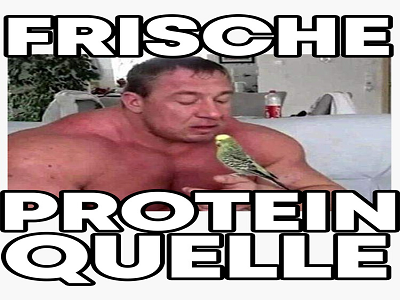 markus ruhl oiseau perroquet go muscu proteine bodybuildeur bodybuilding whey