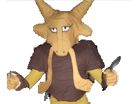 pokemon ok moche bootleg