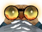 chat pensif lunettes zoom