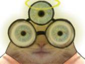 chat lunettes alien extraterrestre