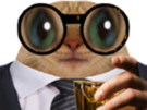 chat-lunettes-whisky-verre-costume-costard-cravatte-chad