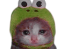 chat-triste-pleure-chaton-mignon-kawaii-grenouille-larme