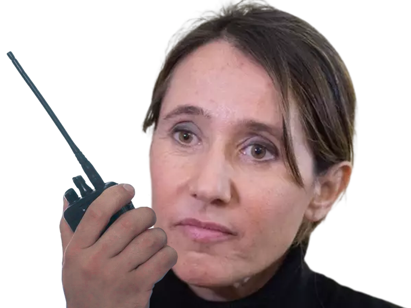 alexia laroche joubert alj talkie walkie talkiewalkie