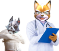 starfox-fox-mccloud-assault-docteur-medecin-psy-fou-malade-diagnostic-wolf-odonnell-ssbu-smartass-tinnova