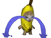 banane bannane cat cry grosse victime pleure oin tg