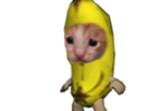 banane-cat-triste-sad-oin-victime-chat-banana