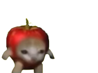 pomme apple cat hein