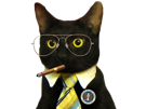 chat-cravate-old-school-vieux-cigare-lunette-us-usa-amerique-agent-secret