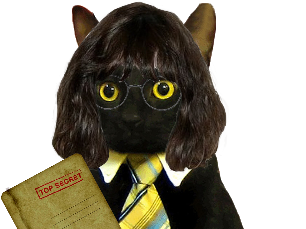 chat lunette cia agent secret document coupe au carre