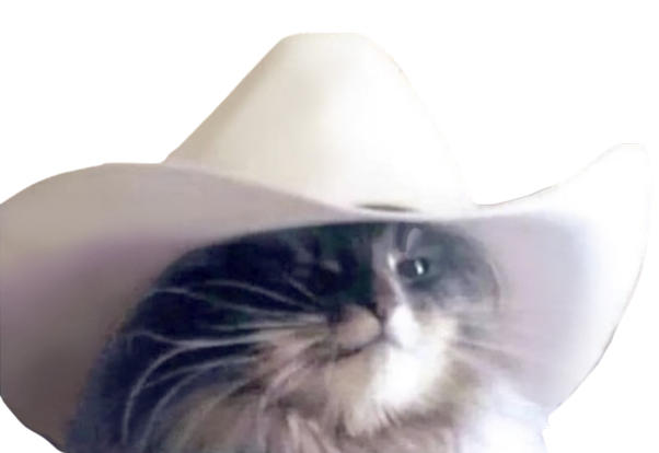 chat cow-boy cowboy
