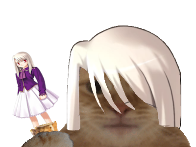 illyasviel von einsberg chat glace fate
