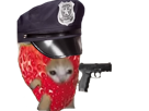 cat-chat-fraise-police-happy