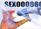 sexe-sexo-sexooo-chat-cri-haut-parleur-eclair-excite