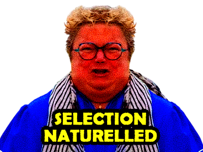 magalie rage magalax tison selection naturelle arabe chances ange merci macron darmanin noban puer anus