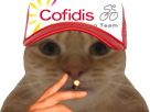 chat-casquette-cigarette-cofidis-velo-cyclisme-victor-lafay-guillaume-martin-bryan-coquard-cycliste