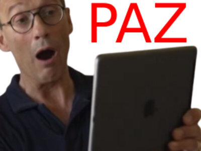 paz m6 curved courbet pazification ayao