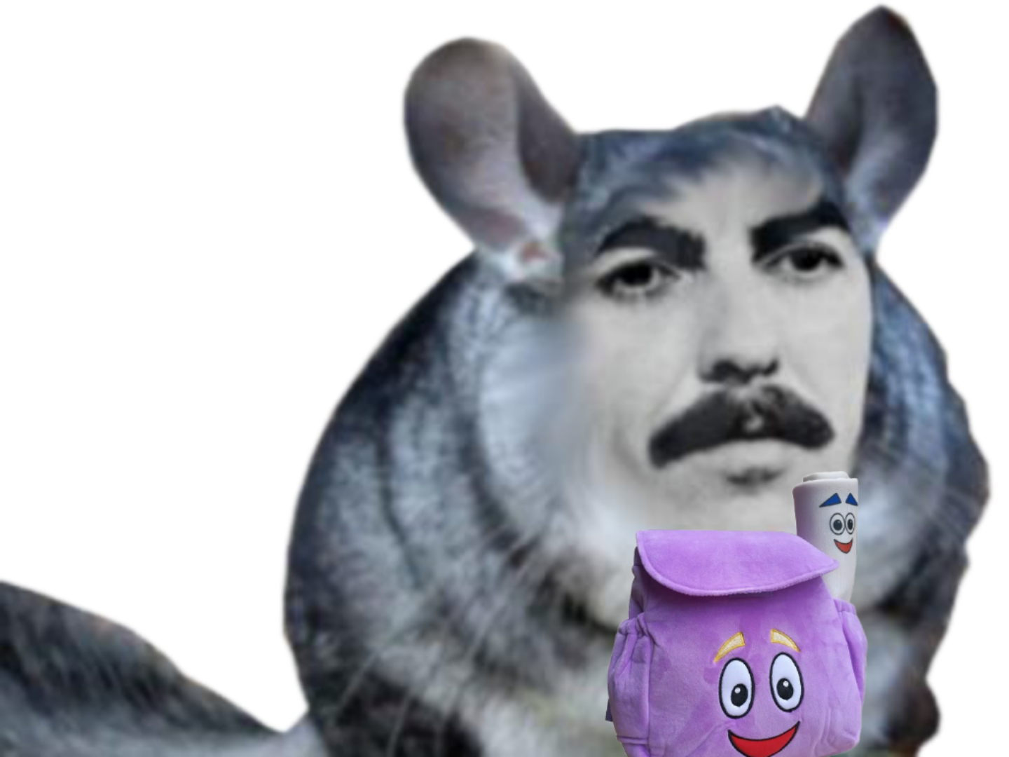 croutedechevre bycroutedechevre chinchilla dora exploratrice sac sakado carte cartable george harrison beatles rongeur sacados