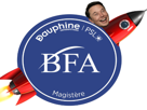 bfa-dauphine-banque-finance-assurance-elite-magistere-trader